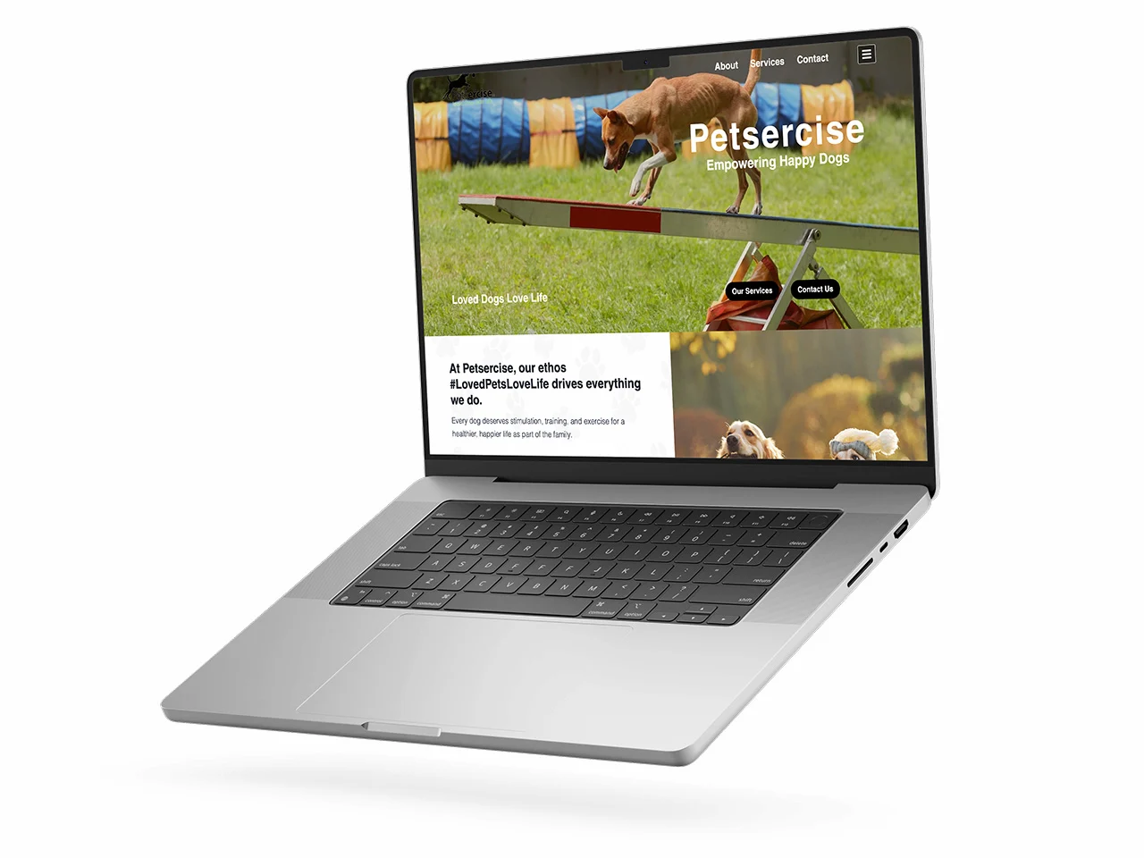 County Durham Web Design Portfolio Example Petsercise HiJack Web Design